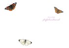 zestig jaar met vlinders